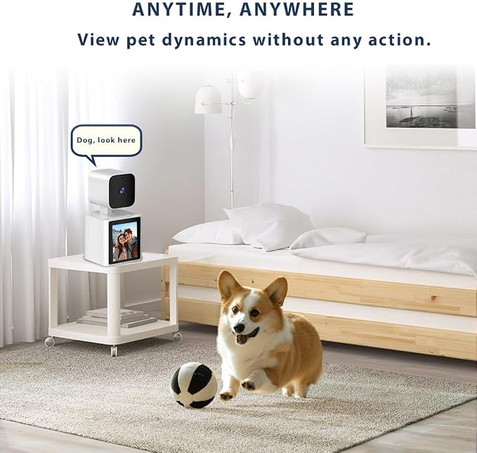 Two-Way Video Camera,Pet Dog Camera 1080P Dome Camera CS10