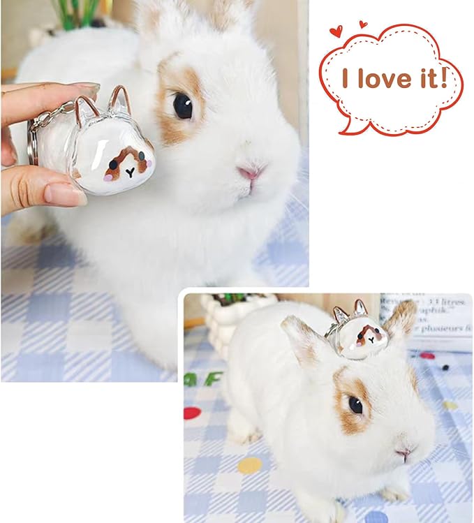 Rabbit Hair Keychain Transparent Pet Fur Keepsake with Tweezer | Portable Rabbit Fur Keychain DIY Pet Hair Memorial Keepsake Bunny Hairs Collector Charm Storage Box, Rabbits Lover Gifts