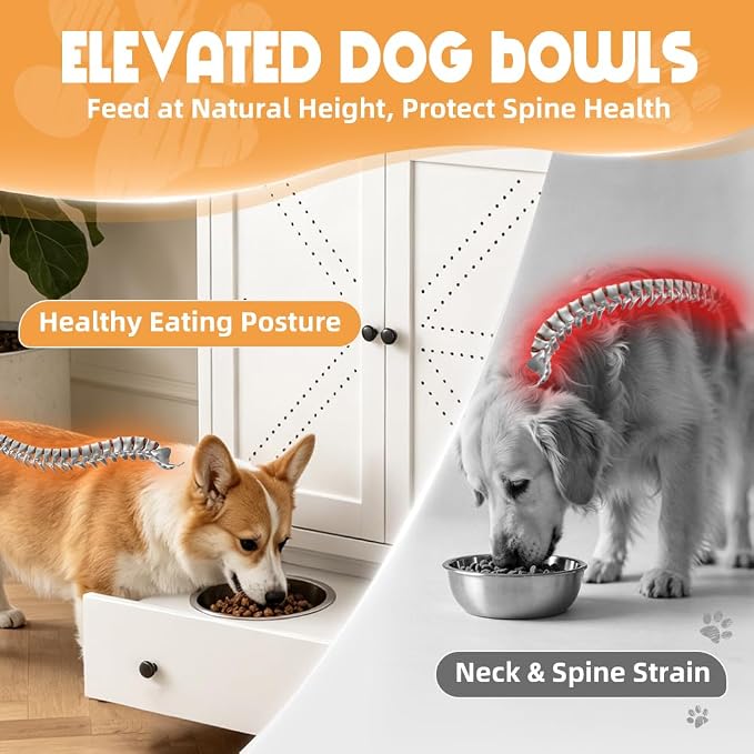 Dog Feeding Station with Storage Cabinet, Metal Pet Feeding Station with Storage, Dog Food Storage Cabinet with 2 Elevated Stainless Steel Bowls, Pet Food Cabinet Organizer, White