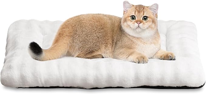Pet Bed Mat Crate Pad for Cats Small Dogs, Cream White, 24"x 18" | Washable Soft Pet Sleeping Mat, Puppy Cat Kitten Cushion with 3D Bubble Pattern
