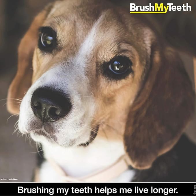 Brush My Teeth Medium Dog Toothbrush - Rounded Brush Head -Soft Flexible Bristles- for Safe and Gentle Brushing for Doggie, Any Medium Breed or Puppy, Daily Brushing Adds Years of Healthy Life