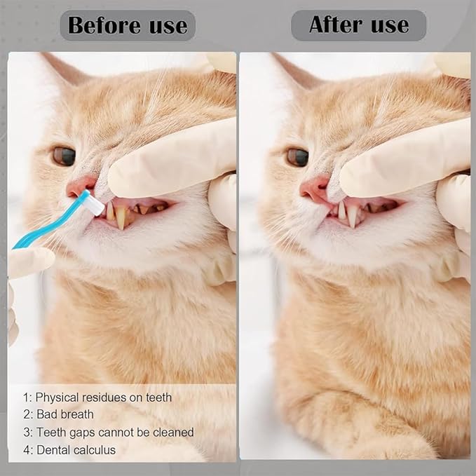 6 Pcs Cat Toothbrush with Micro Head to fit into Cat Mouth, Ultra Soft Bristles Pet Toothbrush Kit, Kitten/Puppy Toothbrushes, Kitty Dental Care Supplies, Avoid Bleeding Gums & Help Gap Cleaning