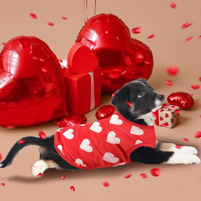 2 Pack Dog Valentines Outfit Shirts Soft Velvet Stretchy Lightweight Dog Warm T-Shirts Sleeveless Vest Clothes for Small Medium Large Dogs Cats