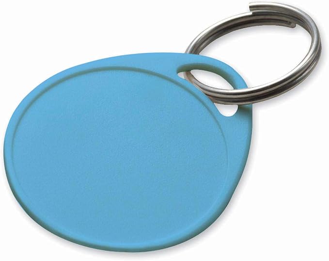 Lucky Line 1-1/4" Label It Plastic Tag, 100 Pack, Assorted Colors (25075)