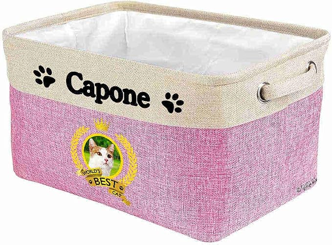 Custom Name Collapsible Dog Toy Storage Basket Bin World's Best Cat Turkish Van Foldable Pet Toy Box Closet Shelf Baskets Organizer for Bedroom Home Dog Cat with Handles Pink