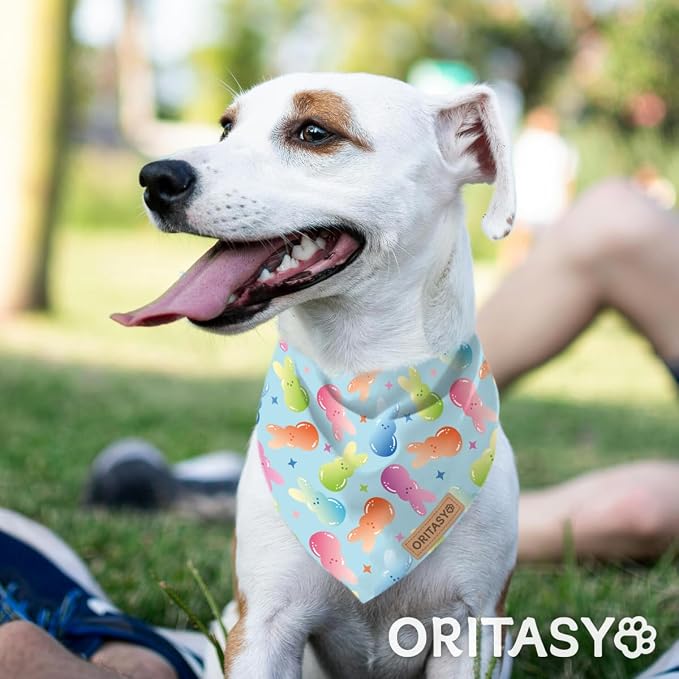 Easter Dog Bandanas, 2-Pack Triangle Reversible Bunny Eggs Pet Scarves, Premium Fabric, Bandana for All Boys Girls Dogs (Candy, One Size)