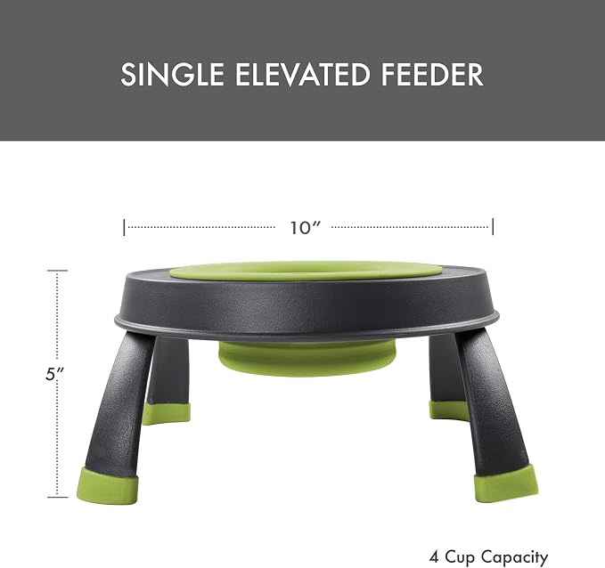 Dexas Pets Elevated Pet Feeder, Large, 4 Cup Capacity, Green, Raised Pet Food and Water Bowl