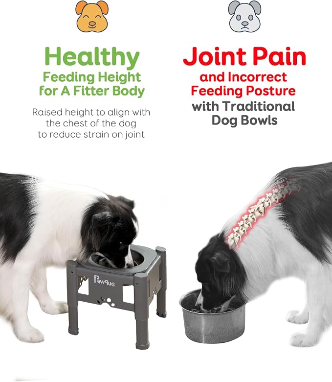 Pawque 35oz Elevated Slow Feeder Dog Food Bowls with Adjustable Stand | 3 Heights (6.1", 7.7", 9.3"), Raised Dog Bowls for Medium and Small Breed Dogs Cats, Non Slip Rubber & Mess Proof