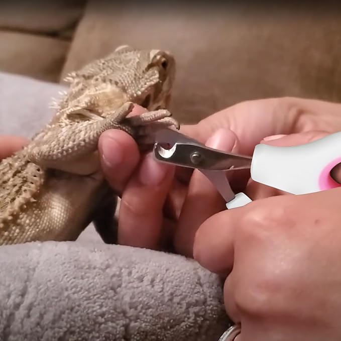 KEUYE Bearded Dragon Nail Clippers,Stainless Steel Bearded Dragon Toe Nail Clippers with Precise Angled Edges (Pinky White)