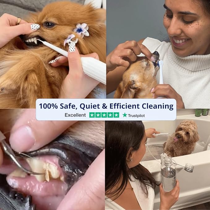 Canivet Silent Sonic Plaque & Tartar Remover for Dogs – Ultra-Quiet Dental Cleaner with Scaler, Toothbrush Heads, Water Flosser Rechargeable, Small & Large Dog Friendly