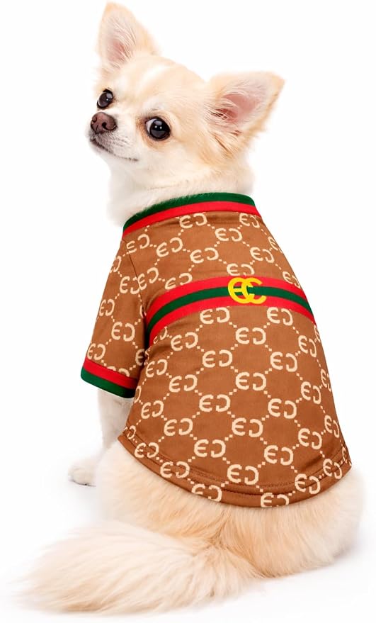 Luxury Designer Dog T Shirt – Trendy Puppy Clothes for Small Dogs, Fashion Pet Tee for French Bulldogs & Chihuahuas, Everything Chic Dog Apparel (GucchewiTee, Large)