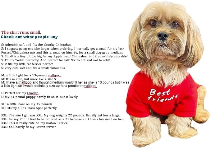 Cute Dog Clothes, T Shirt for Medium and Small Dogs Girl Boy,Puppy.Breathable Soft Dog Costume for Pet Dogs Cats, Pet Pullover Jumper, Cat Clothes (M-(7~11lb), Chest~16", Aqua)