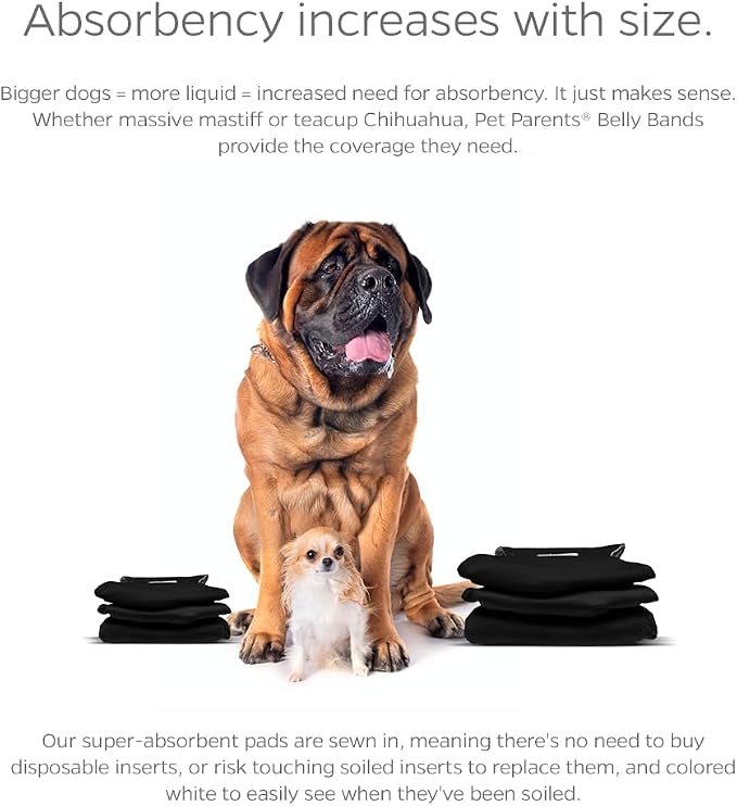 PET Parents Washable Belly Band Male Dog Diapers, Dog Wraps and EXTENDRS, Black, X-Large: 2