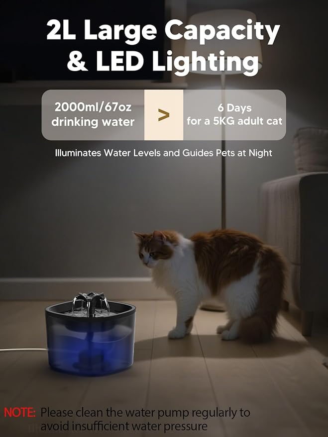 Automatic Cat Feeder and Water Fountain, 4L/16 Cups Timed Cat Dry Food Dispenser, 10s Meal Call, 20 Portions 6 Meals Per Day, 2L Cats Fountains for Drinking with Filter, Pet Feeder for Dog Black