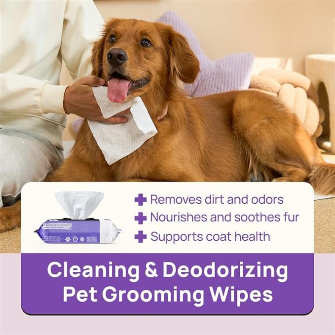 HICC PET Wipes for Dogs and Cats, Vet-Recommended Pets Cleaning Wipes, Deodorizing Hydrating, Nourishes Smoothes Fur, Fermented Coconut Oil Grooming Horse Skin, Coat & Hoof, Unscented, 100 Count