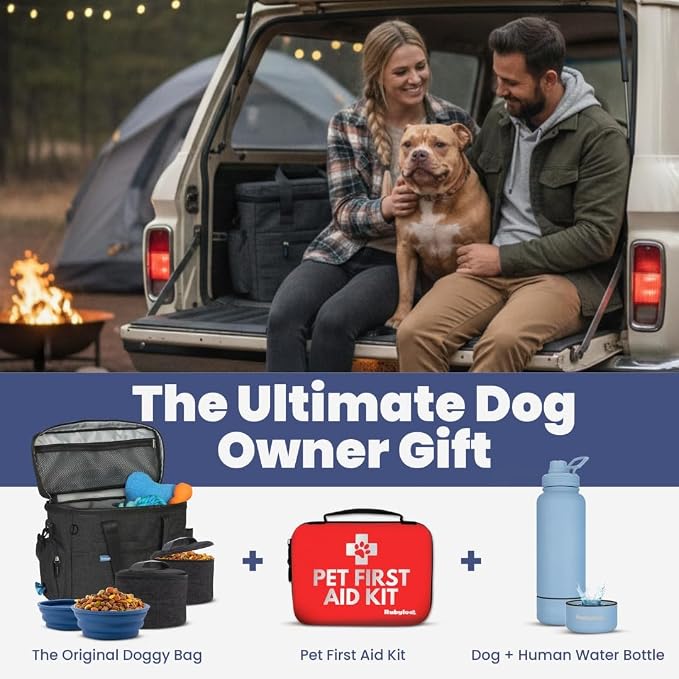 Original Doggy Bag™ Dog Travel Bag for Supplies with Travel Bowls | 2 BPA-Free Collapsible Bowls, 2 Pet Food Containers, TSA-Ready, Road Trips, Camping, Weekend Getaways, Doggy Gift, Charcoal
