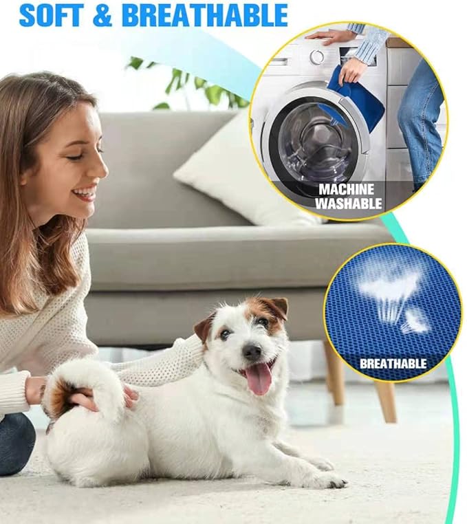 Kkiimatt 10 in 1 Pet Grooming Hammock Harness with Nail Clippers/Trimmer, Nail File, Comb,Dog Nail Hammock, Dog Grooming Sling for Nail Trimming/Clipping (XXL/Under 120lb, Blue)