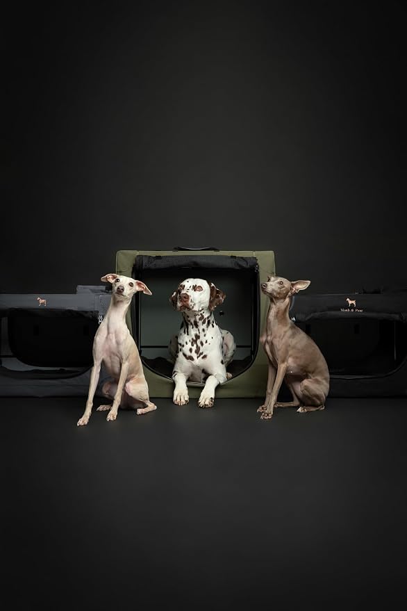 Noah & Paw Collapsible Dog Crate 26 Inch, Small Dog Crate for Small Medium Breeds, Travel Kennel for Car, Including Pet Mat for Pet Cage, 2 Storage Pockets, Handbag, 10mm Locking Zipper 26 * 17 * 17
