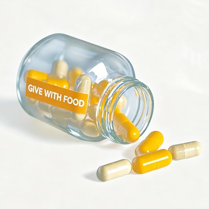 300PCS Give with Food Medication Instruction Labels, Color-Coded Self-Adhesive Veterinary Pharmacy Stickers for Medical Containers, Drugstore & Hospital Organization, 1.6 x 0.4 inch