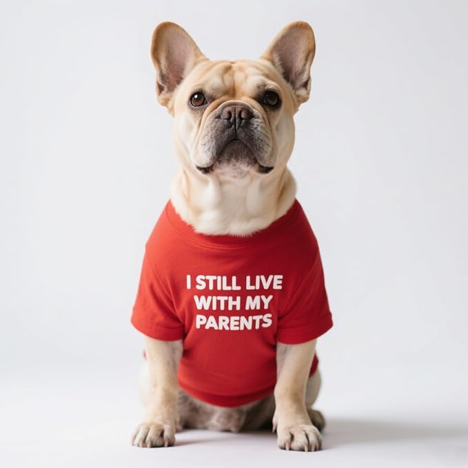 French Bulldog Shirt for Small Dog Clothes Breathable Stretchy Costumes(L) | Miss Pet,I Still live With My Parents Printed Puppy T-Shirts Cat Tee