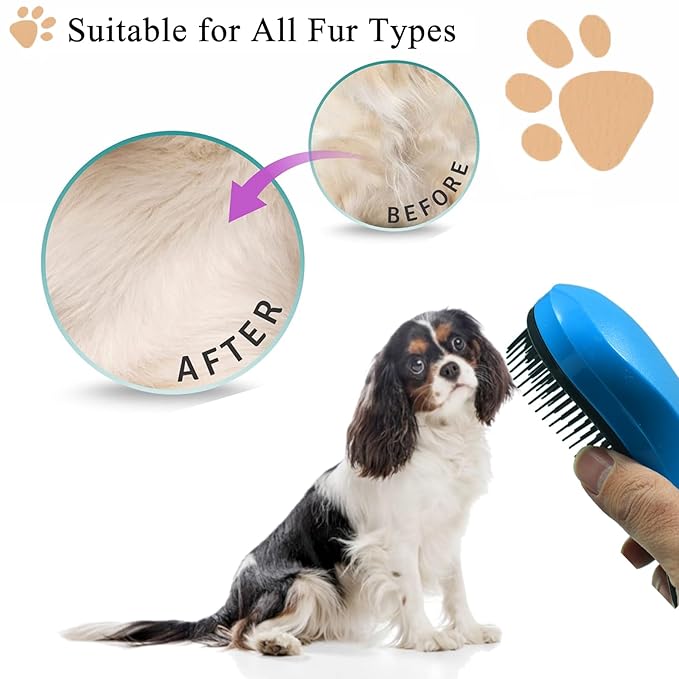 Small Dog Brush, Soft Pet Grooming Brush for Shih Tzus, Yorkies, Maltipoos, Maltese, Puppy Massaging Hair Brush, Cat Brush, for Small Animals Rabbits of All Hair Types (Golden)