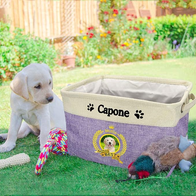 Custom Name Collapsible Dog Toy Storage Basket Bin World's Best Dog a Happy English Bulldog Foldable Pet Toy Box Closet Shelf Baskets Organizer for Bedroom Home Dog Cat with Handles Blue