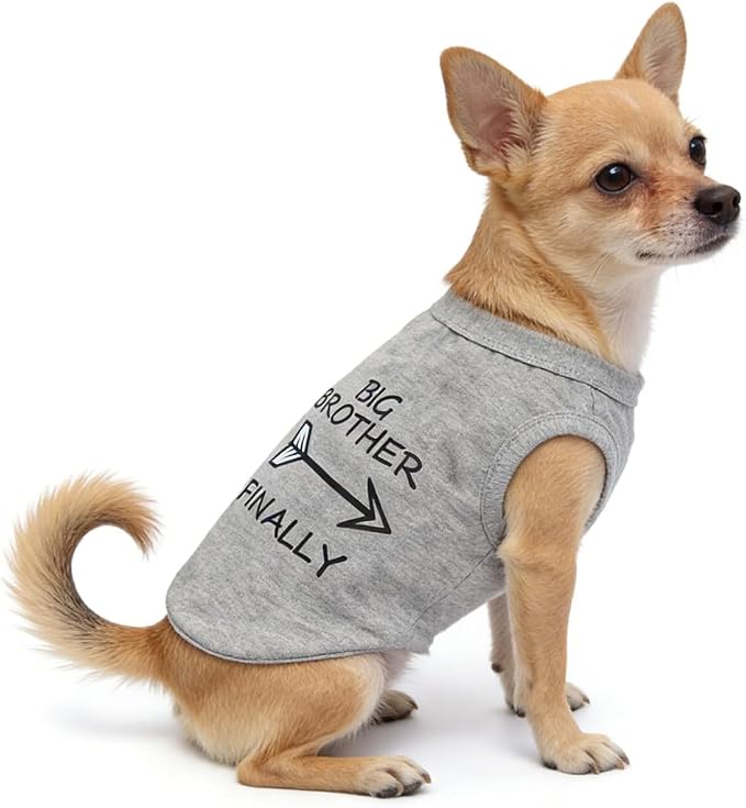 Breathable Cotton Pet Clothes for Small Boy Dogs, Cotton Dog T Shirts for Puppies Cats Kittens, Big Brother Print Doggie Outfits for Chihuahua Teddy Yorkie (Neck Girth 10.24'')