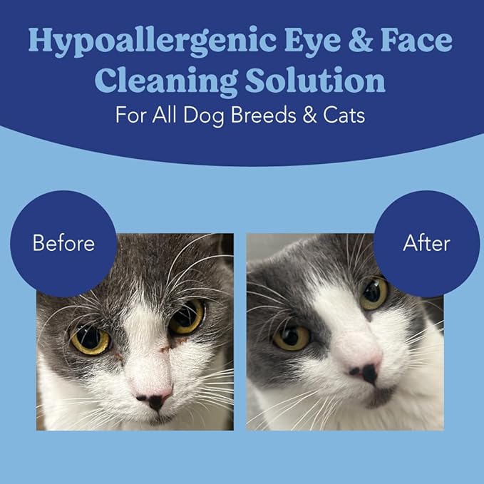 Angel's Eyes Gentle Tear Stain Wipes for Dogs and Cats - 100 Ct - Presoaked Textured (AEGTSW100)