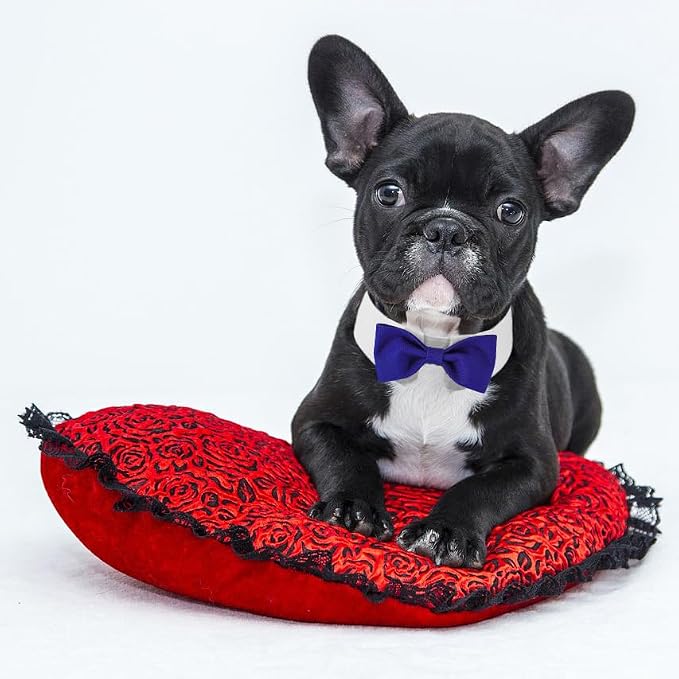 Elegant Dog Bow Tie - Cute Tuxedo Bowtie with Adjustable White Collar for Formal Pets - Perfect for Valentines, Weddings, and Birthdays