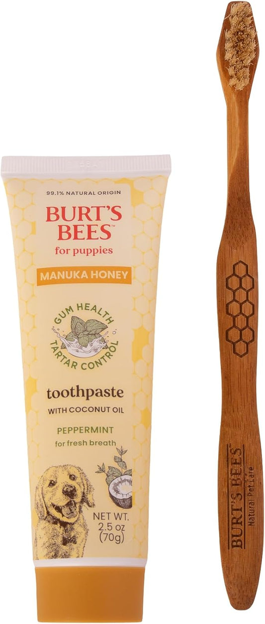 Burt's Bees for Pets Dental Kit for Puppies with Bamboo Toothbrush & Toothpaste with Manuka Honey & Coconut Oil for Gum Health & Tartar Control, 99.1% Natural Origin Formula, Peppermint, 2.5 oz