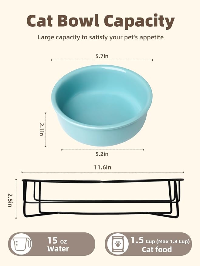 GDCZ Elevated Cat Bowl Stand, 11.6 in Metal Stand with 2 Removable 15 OZ Ceramic Bowls for Pet Food and Water, Stand Reduces Cat Neck Burden, Turquoise