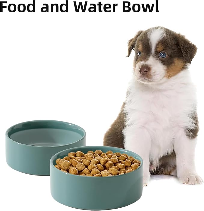 Havniva Cat Bowls Set of Two, 6.1” Ceramic Cat Food Bowls, Cat Water Bowl | Cat Food and Water Bowl Set, Non-Slip Base, Food-Grade Ceramic, Wide Opening, Dishwasher Safe, Pet Bowls Whisker Friendly