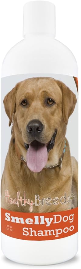 Healthy Breeds Labrador Retriever Smelly Dog Baking Soda Shampoo 8 oz