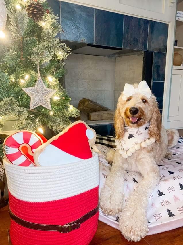 Christmas Santa Rope Basket (Small)