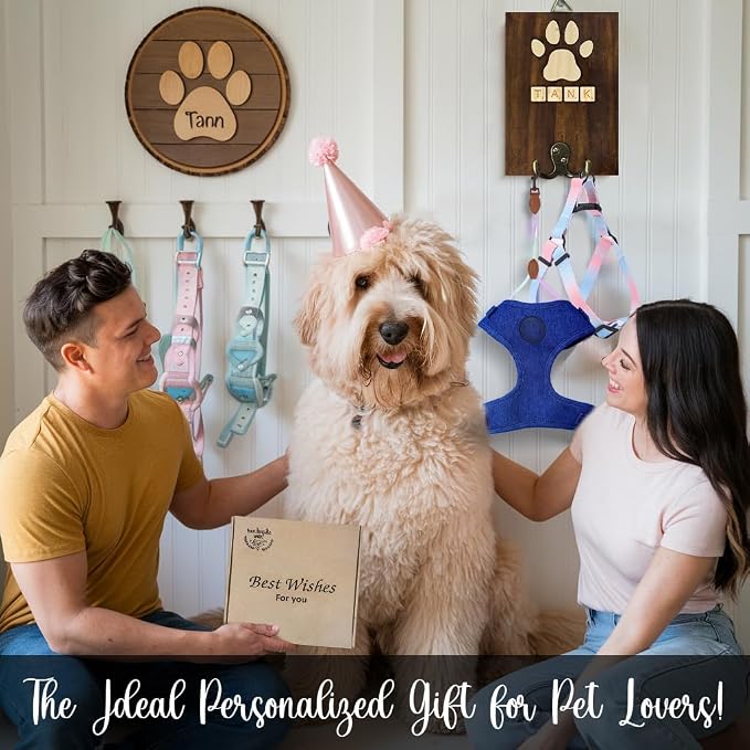 Personalized Dog Leash Holder Wall Mount, Pet Harness Hanger with Alphabet Block Styles, Dog Collar Organizer for Entryway, Memorial Cat Leash Holder for Wall, Pet Loss Gifts, Keepsake, Home Decor