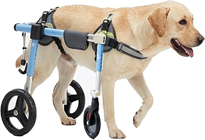 Dog Wheelchair for Hind Legs Support, XS-XXL Adjustable Length Width Small Dog Mobility Cart Post Surgery Recovery Aid for Disabled Arthritic Paralyzed Dogs