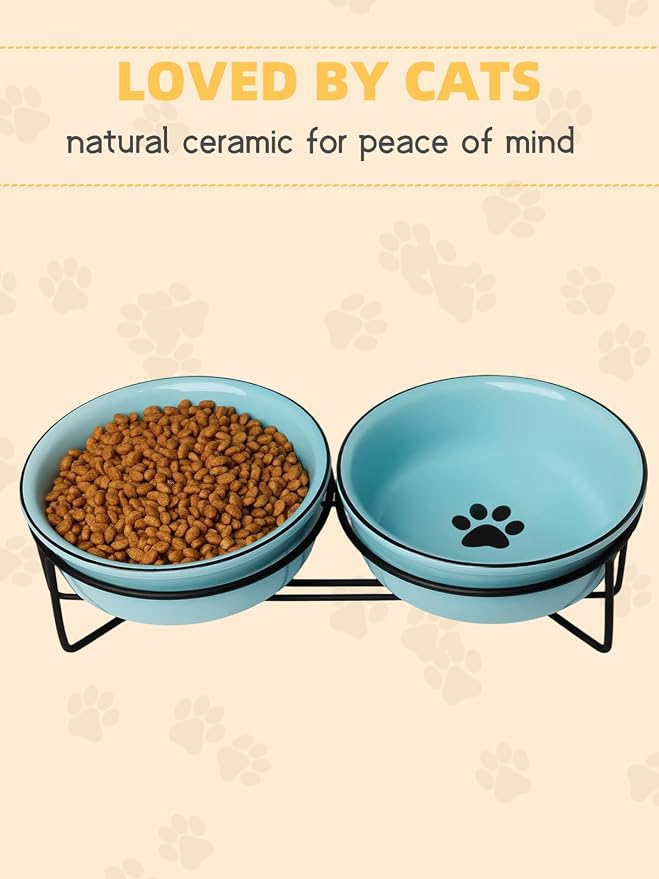 GDCZ Ceramics Raised Cat Bowls with Heighten Metal Stand,15 Ounces Turquoise