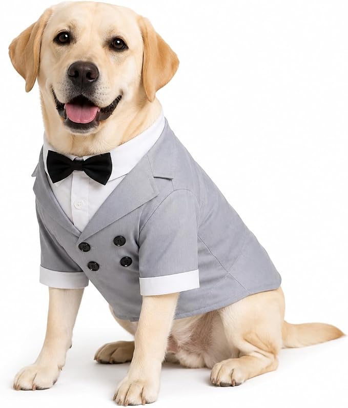 Lovelonglong Pet Costume Dog Suit Formal Tuxedo with Black Bow Tie for Large Dogs Alaska Golden Retriever Gray L-XL+