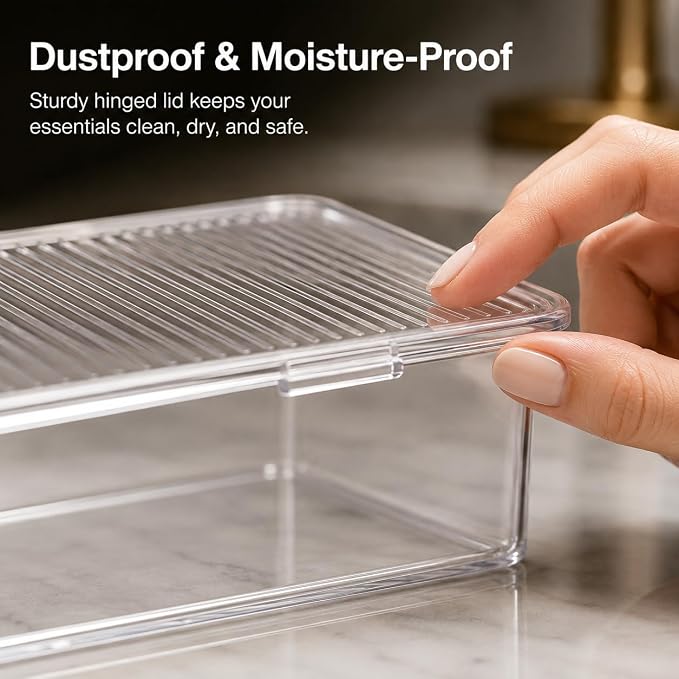 Clear Plastic Storage Bin with Lid, Small Silverware Organizer with Cover, Transparent Kitchen Utensil Drawer Tray for RV Countertop Flatware