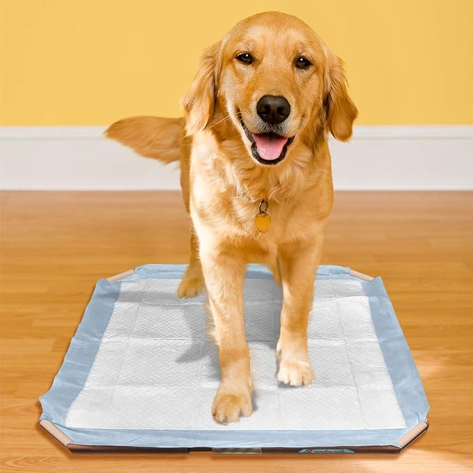 Simple Solution Dog Training Pad Holder, Fits Pads 21 by 21-Inch or Larger