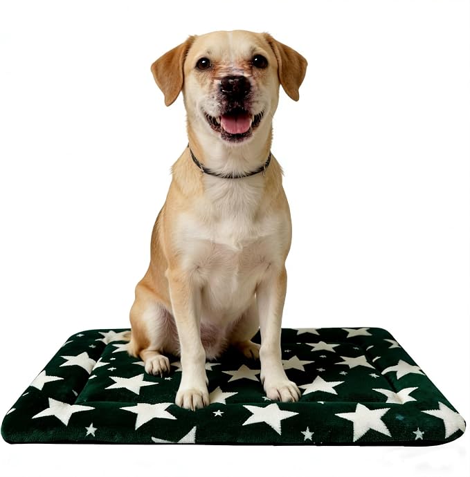Dog Bed Mat, Reversible Crate Pad & Durable Dog Bed - Machine Washable Kennel Mat with Ultra Soft for Large Dogs (Big&Small Stars Green, 35" L*23" W*1.5" Th)