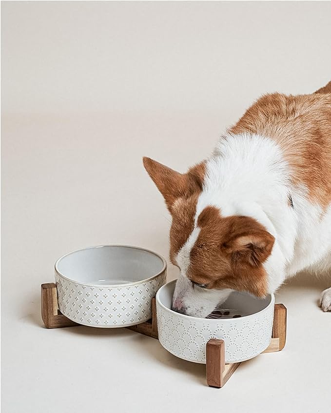 LE TAUCI Dog Bowls Ceramic for Small Medium Dogs - 3-Cup Dual Food & Water Bowl Set with Acacia Wood Stand, Non-Slip Anti-Tip Elevated Design