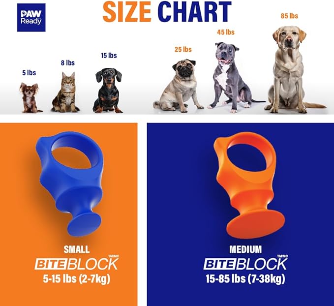 Paw Ready Pet Toothbrushing Assistant for Puppies' Dogs and Cats Allows You to Brush Your pet’s Teeth Without Constantly Worrying About Getting Bitten. (Blue, Small)
