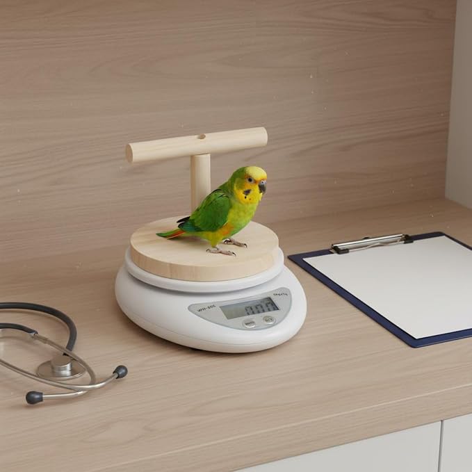 with Detachable Perch Multifunctional Pet Weight Measuring Device Digital Display Tare Feature Accessory Suitable for Avian Tracking, Scale with T Stand