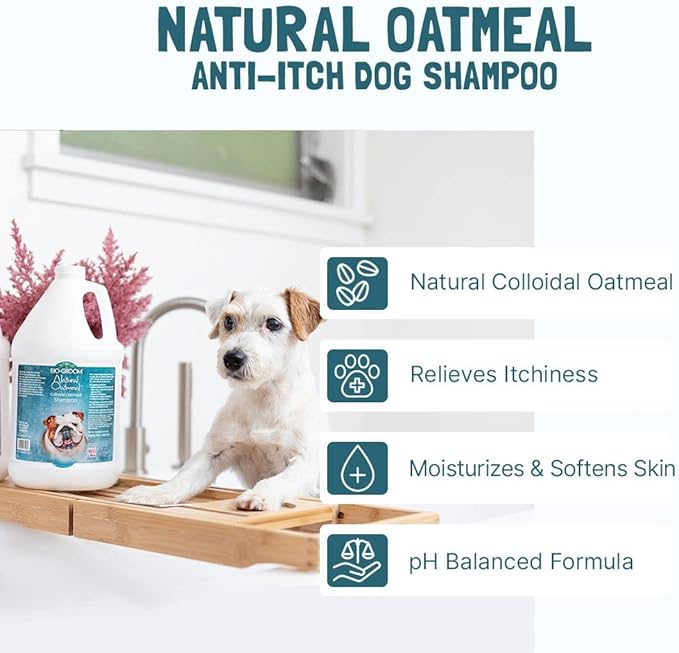 Bio-Groom Oatmeal Dog Shampoo - for Allergies and Itching, Cruelty-Free, Dog Bathing Supplies, Puppy Shampoo for Sensitive Skin, Made in USA, Anti-Itch Dog Products- 32 fl oz 1-Pack