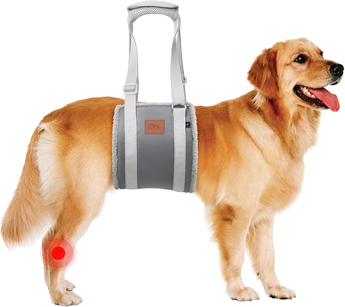Adjustable Dog Sling for Large Dogs Hind Leg Support Weak Legs Mobility Aid | Dog Lift Harness, Helps Seniors, Injured, Disabled and After ACL Surgery Dogs, Daily Walk/ Stairs, Soft Padded, Easy to Use