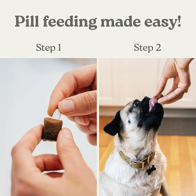 Presidio Earthly Pill Buddy Naturals - Honey Recipe Pill Hiding Treats for Dogs - Make A Perfect Pill Concealing Pocket Or Pouch for Any Size Medication - 90 Servings