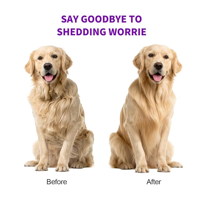 Dog & Cat Deshedding Brush, Dog Hair Brush for Grooming, Undercoat Grooming Tool for Short to Medium and Double Coats, Detachable Stainless Steel Shedding Blade, Ergonomic Non-Slip Handle, Purple