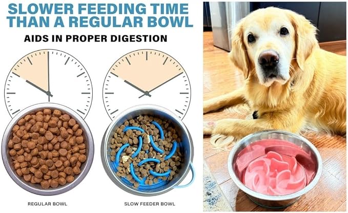 Blue Slow Feeder Travel Dog Bowl Set – 30oz Stainless Steel + 20oz Collapsible Silicone Dish + Silicone Slow Feeder Insert | Water Bottle Holder | Non-Slip, Anti-Choking, BPA-Free – Claim