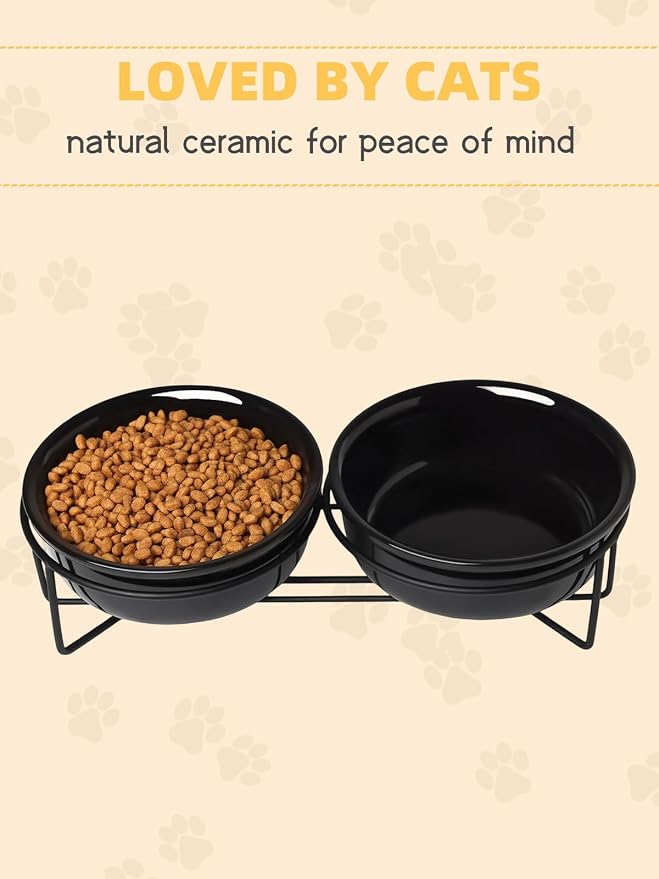 GDCZ Elevated 15 Oz Ceramic Double Cat Bowls with 11.6x2.5 Inch Stand (Black)